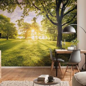 BERKFIELD HOME Komar Photo Mural Golden Moment 400x250 cm