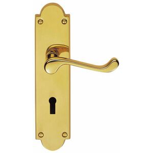 Loops - pair Victorian Scroll Handle on Lock Backplate 205 x 49mm Polished Brass