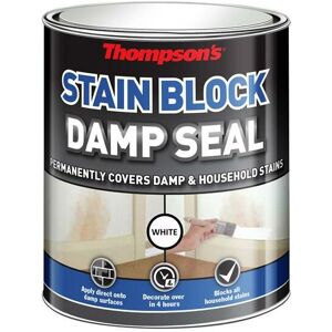 Ronseal Thompson's Stain Block Damp Seal 2.5 litre RSLTDS25L