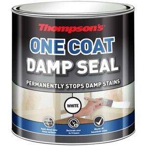 Ronseal - 34579 Thompson's One Coat Stain Block Damp Seal 2.5 litre RSLTOCDS25L