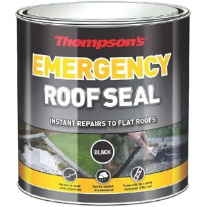 Thompson - s Emergency Roof Seal - Black - 1L