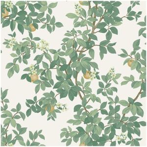 Holden Decor Orange Tree Cream Green Wallpaper Botanical Paste The Paper Holden Decor Orange Tree Cream Green Wallpaper Botanical Paste The Paper