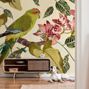 Profhome - Photo wallpaper 382441 hot embossed non-woven wallpaper smooth with birds pattern matt green beige red grey 3.71 m x 2.8 m Profhome - Photo wallpaper 382441 hot embossed non-woven wallpaper smooth with birds pattern matt green beige red grey 3.71 m x 2.8 m