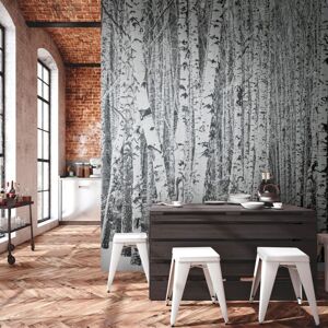 Photo wallpaper Profhome 382591 hot embossed non-woven wallpaper smooth with forest motif matt black white grey 3.71 m x 2.8 m Photo wallpaper Profhome 382591 hot embossed non-woven wallpaper smooth with forest motif matt black white grey 3.71 m x 2.8 m