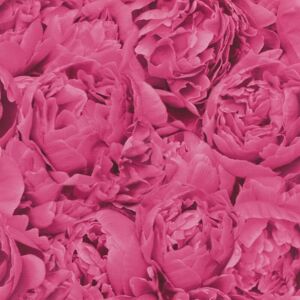 Rasch - Freundin Pink Rose Wallpaper Floral Textured Paste The Wall Vinyl Rasch - Freundin Pink Rose Wallpaper Floral Textured Paste The Wall Vinyl