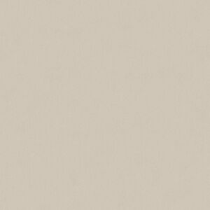 Profhome - Unicolour wallpaper wall 336552 non-woven wallpaper smooth with tangible texture matt beige 5.33 m2 (57 ft2) Profhome - Unicolour wallpaper wall 336552 non-woven wallpaper smooth with tangible texture matt beige 5.33 m2 (57 ft2)