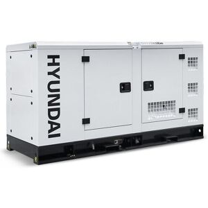 Hyundai - 22kW/27.5kVA Single Phase Diesel Generator : DHY22KSEm