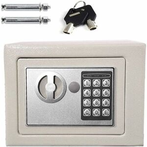 DAYPLUS Electronic Password Security Safe Money Cash Deposit Box Office Home Digital Safe Box with Full-digit Keypad, 2 Override Keys and 2 Installing Bolts