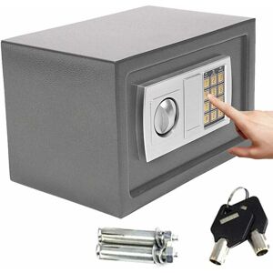 DAYPLUS Grey Safe Box High Security Steel Lock Safes and Lock Boxes, Money Box, Safety Boxes Jewelry Cash Gun Box for Home,Office, Digital Safe Box, Steel
