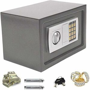 DAYPLUS Large 8.5 Litre (31cm x 20cm x 20cm) Electronic Safe, Cash Box, Home Safe, Lock Box, Digital Safe, Money Safe Box, Steel Security Box, For Office or