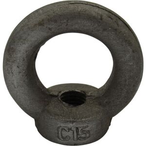 Securefix Direct - M56 Lifting Eye Nut - 56MM Self Colour Threaded Eyenut DIN582 11.5 Ton