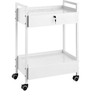 Mophorn - Lab Cart, 2 Tiers Stainless Steel Utility Cart, Medical Cart with 2 Drawers, Rolling Lab Cart White Paint, Serving Cart with Swivel Casters