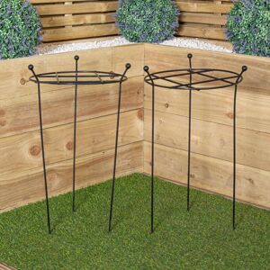 Samuel Alexander - Pack of 2 Tom Chambers Cottage Heavy Duty Black Metal Steel Herbaceous Garden Plant Support Grow Through Small 60cm x 35cm