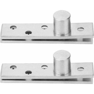 ZVD - Charnières de Porte à Rotation à 360 degrés, Charnières à Pivot Dissimulées en Acier Inoxydable 75x17mm Haut de La Page(Eccentric Pivot),Paquet