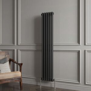 Aica Sanitaire - Biubiubath Traditional Cast Iron Style Radiator Vertical 2 Column Black 1500x290mm