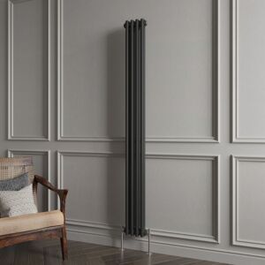 Aica Sanitaire - Biubiubath Traditional Cast Iron Style Radiator Vertical 2 Column Black 1800x200mm