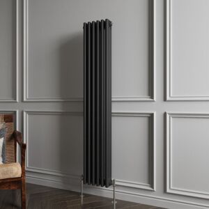 Aica Sanitaire - Biubiubath Traditional Cast Iron Style Radiator Vertical 3 Column Black 1500x290mm