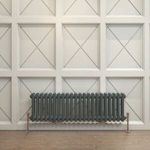 Biubiubath - Traditional Cast Iron Radiator 300x1010mm 2 Column Anthracite