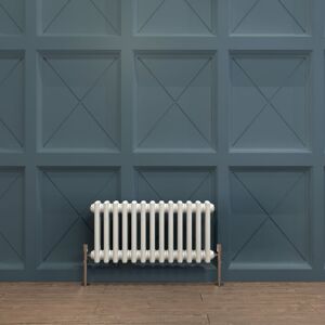 Biubiubath - Traditional Cast Iron Radiator 300x605mm 2 Column White