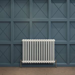 Biubiubath - Traditional Cast Iron Radiator 600x830mm 2 Column White