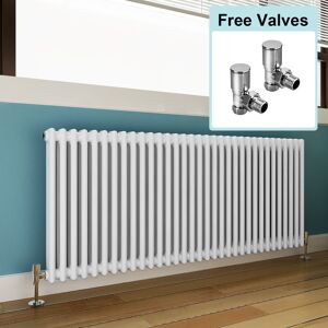 Elegant - 600 x 1505 mm Traditional Column Radiators Horizontal Double Panel Cast Iron Central Heating Rads + Angled Radiator Valves