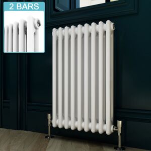 Elegant - 600 x 420mm Double Bar Traditional Horizontal Column Radiator White