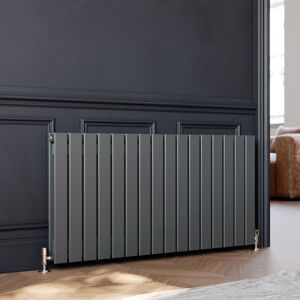 Elegant - Anthracite Horizontal Column Designer Radiator Double Flat Panel Radiator Heater 600 x 1216 mm