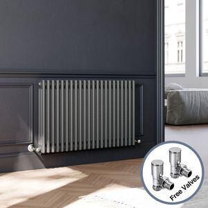 Elegant - Horizontal Column Radiator Anthracite Radiator Cast Iron Radiator Column Radiator Rads 600 x 1010 mm with Valves