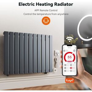 Elegant - Smart WiFi Thermostatic Electric Radiator Flat Panel Anthracite Wall Mounted Heater No Plumbing 800W 630x832mm