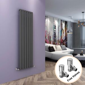 Elegant - Vertical Designer Radiator Flat Panel + Angled Radiator Valves 1600 x 452 mm Anthracite Single
