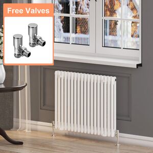 Elegant - Cast Iron Radiator Horizontal Double Radiator Traditional Column Radiator Rads with Valves 600 x 812 mm