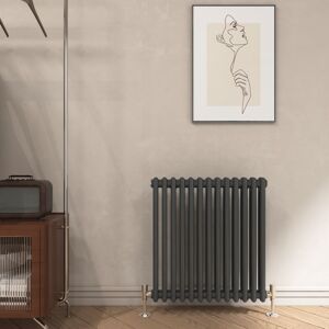 Emke - Traditional Cast Iron Style Anthracite Double Column Horizontal Radiator, 600x600mm