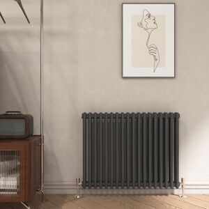 Emke - Traditional Cast Iron Style Anthracite Double Column Horizontal Radiator, 600x830mm