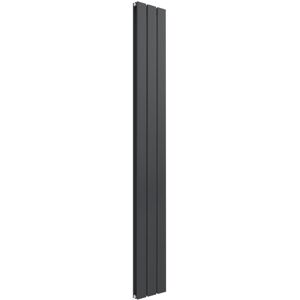 Reina - Flat Double Designer Vertical Radiator 1600mm h x 218mm w - Anthracite