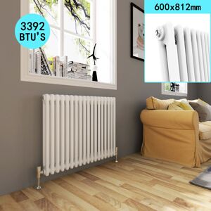 Elegant - Traditional Horizontal Cast Iron 600 x 812 mm Radiator with White Double Column