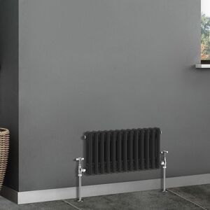 NRG - Traditional Radiator Cast Iron Style Radiator 2 Column Black 300x605mm