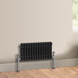 Warmehaus - Traditional Black Radiator Double Column 300 x 605mm