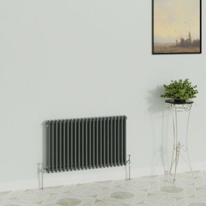 Warmehaus - Traditional Anthracite 2 Column Radiator 600x1010mm