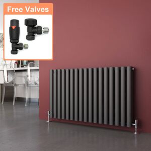 Elegant - Anthracite Radiators Horizontal Double Heater 600 x 1003 mm Column Oval Panel Central Heating Designer Bathroom Radiator + Chrome Elegant - Anthracite Radiators Horizontal Double Heater 600 x 1003 mm Column Oval Panel Central Heating Designer Bathroom Radiator + Chrome