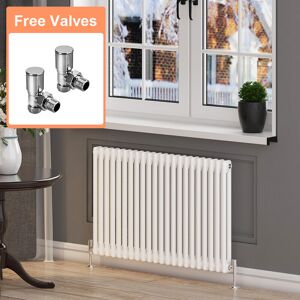 Elegant - Cast Iron Radiator Horizontal Double Radiator Traditional Column Radiator Rads with Valves 600 x 988 mm Elegant - Cast Iron Radiator Horizontal Double Radiator Traditional Column Radiator Rads with Valves 600 x 988 mm