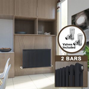 Elegant - Cast Iron Radiator Horizontal Radiator Traditional Double Column Radiator Rads with Valves 600 x 1010 mm Elegant - Cast Iron Radiator Horizontal Radiator Traditional Double Column Radiator Rads with Valves 600 x 1010 mm