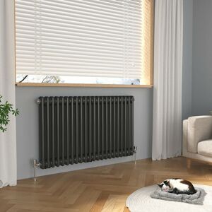 Meykoers - Traditional Radiator Central Heating Horizontal 2 Column Double Radiator Anthracite - 600 x 1010mm Meykoers - Traditional Radiator Central Heating Horizontal 2 Column Double Radiator Anthracite - 600 x 1010mm