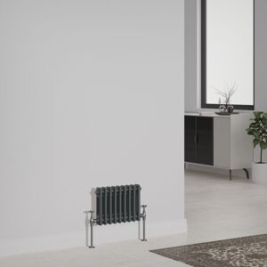 Cast Iron Style Radiator Traditional Anthracite Central Heating Rads Horizontal 2 Column 300x425mm - NRG Cast Iron Style Radiator Traditional Anthracite Central Heating Rads Horizontal 2 Column 300x425mm - NRG