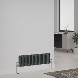 NRG - Cast Iron Style Radiator Traditional Anthracite Central Heating Rads Horizontal 2 Column 300x1010mm NRG - Cast Iron Style Radiator Traditional Anthracite Central Heating Rads Horizontal 2 Column 300x1010mm
