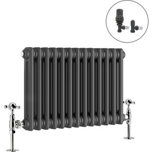 NRG - Traditional Radiator Anthracite Cast Iron Style Rads with Angled Thermostatic Valves Horizontal 2 Column 300x605mm NRG - Traditional Radiator Anthracite Cast Iron Style Rads with Angled Thermostatic Valves Horizontal 2 Column 300x605mm
