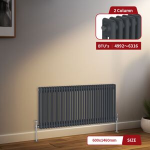 Warmehaus - Traditional Radiator 2 Column Anthracite Central Heating 600 x 1460mm Warmehaus - Traditional Radiator 2 Column Anthracite Central Heating 600 x 1460mm