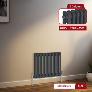 Warmehaus - Traditional Radiator 2 Column Anthracite Central Heating 600 x 830mm Warmehaus - Traditional Radiator 2 Column Anthracite Central Heating 600 x 830mm