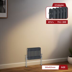 Warmehaus Traditional Radiator 2 Column Anthracite Central Heating 300 x 425mm Warmehaus Traditional Radiator 2 Column Anthracite Central Heating 300 x 425mm