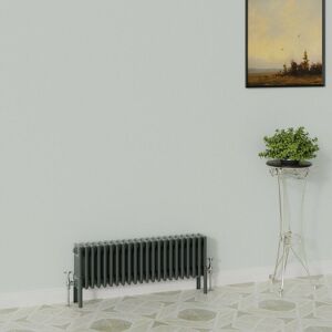 Warmehaus - Traditional Radiator 300x1010mm Anthracite 4 Column Warmehaus - Traditional Radiator 300x1010mm Anthracite 4 Column