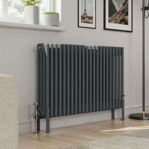 Warmehaus - Traditional 4 Column Anthracite Radiator Cast Iron Style Radiators 600x1010mm Warmehaus - Traditional 4 Column Anthracite Radiator Cast Iron Style Radiators 600x1010mm